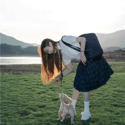 晴天小猪